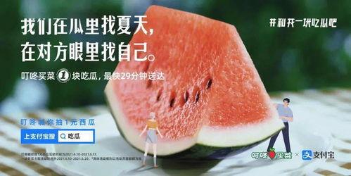 公益广告娱乐吃瓜,趣味吃瓜，传递正能量