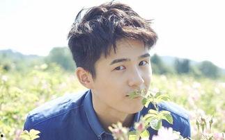 娱乐圈吃瓜陈姓男星都有谁,揭秘那些年我们追过的星