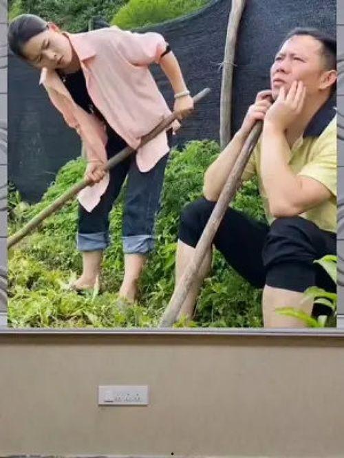 吃瓜群众娱乐八卦,吃瓜群众揭秘明星幕后故事