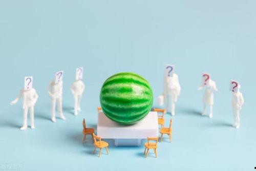 吃瓜娱乐百科大全,揭秘娱乐圈背后的秘密与趣闻