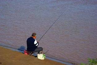 娱乐吃瓜君钓鱼,揭秘娱乐圈背后的秘密与八卦