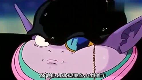 吃瓜娱乐小猫,小猫的吃瓜娱乐日记