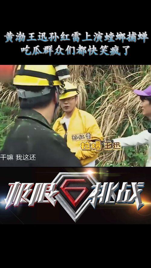 哈哈 娱乐吃瓜,吃瓜群众热议的“哈哈娱乐”事件全解析