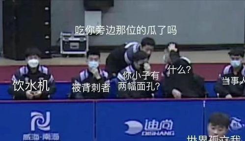 娱乐吃瓜男团团队,揭秘娱乐圈幕后风云