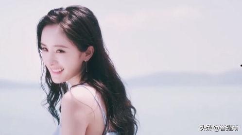 娱乐圈315吃瓜群众