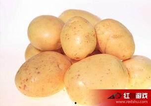 娱乐吃瓜小金土豆,揭秘吃瓜群众背后的土豆人生