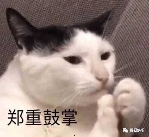 娱乐吃瓜酱不如猫,揭秘娱乐圈幕后那些事儿