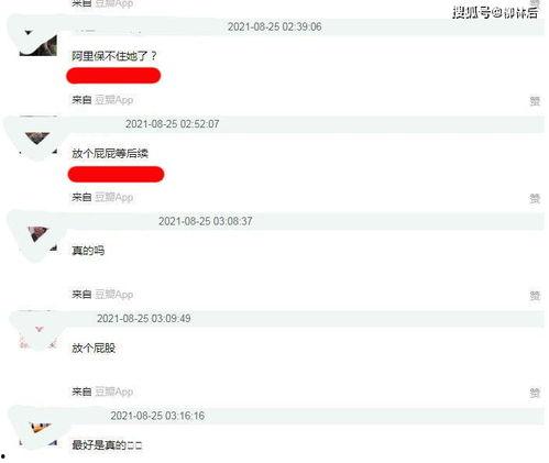 娱乐吃瓜酱文件传输,揭秘文件传输背后的精彩故事