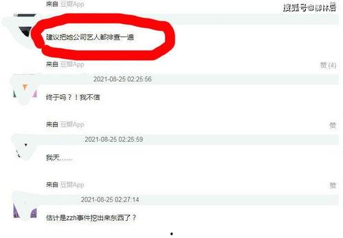 娱乐吃瓜酱文件传输,揭秘文件传输背后的精彩故事