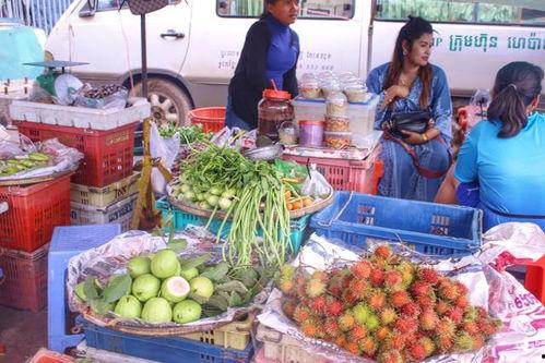 娱乐吃瓜酱柬埔寨骗局