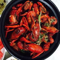 娱乐吃瓜酱美食视频,揭秘明星们的私房美食与吃瓜乐趣