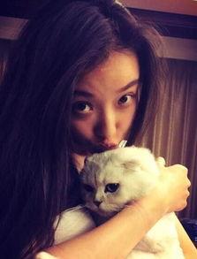 娱乐吃瓜酱虐猫,真相与反思